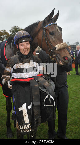 Jockey Leigh Roche with Voleuse De Coeurs in the winners enclosure after winning The Hackett's Bookmakers Irish Cesarewitch during the Hacketts Bookmakers Irish Cesarewitch/Staffordstown Stud Stakes at Curragh Racecourse, Curragh. Stock Photo
