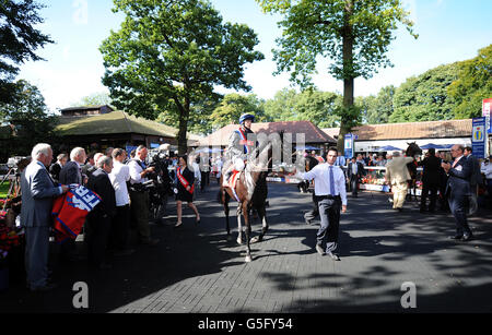 Horse Racing - Betfred Sprint Cup Festival - Day Two - Haydock Park Racecourse Stock Photo