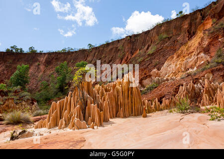 Red Tsingy in Madagascar, Africa. Stone formation of red laterite formed by erosion of the Irodo River in north of Madagascar. Stock Photo