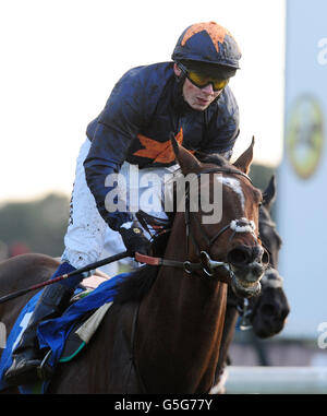 Horse Racing - Countryside Raceday - York Racecourse Stock Photo - Alamy