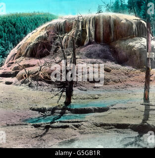 Geysir im Yellowstone Nationalpark. Gusher at Yellowstone National Park.  USA, America, United States, park, natur, landscape, gusher, punctual, volcanicity, volcanism, geology, history, historical, 1910s, 1920s, 20th century, archive, Carl Simon, hand-coloured glass slide Stock Photo