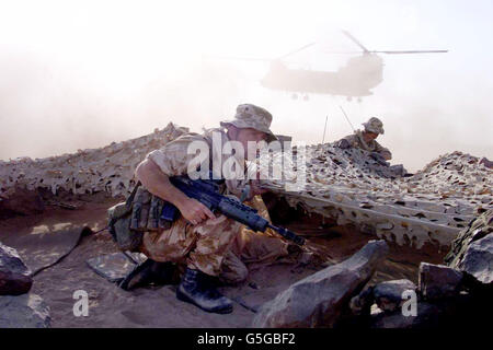 Royal Marines Exercise Oman Stock Photo