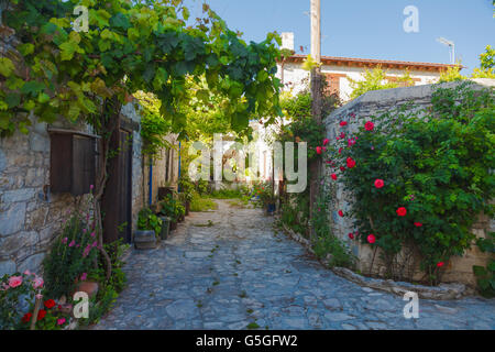 Many flowers and greens on the stones wall of the ancient street, Cyprus Stock Photo