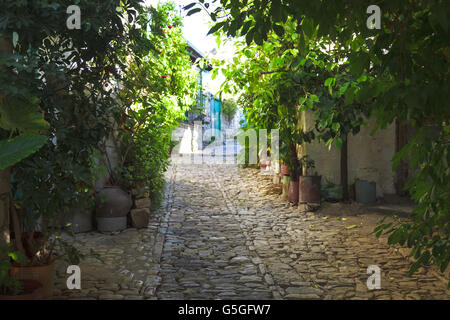 Many flowers and greens on the stones wall of the ancient street, Cyprus Stock Photo