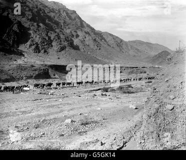 THE KHYBER PASS 1930: A camel train passes through the Khyber Pass on ...