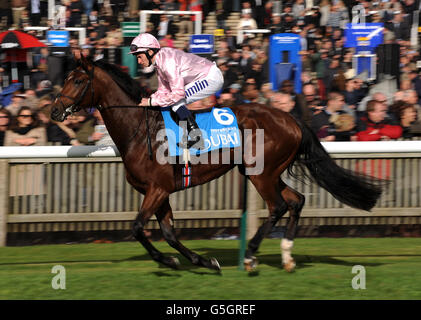 The Ferryman ridden by jockey Ryan Moore goes to post before the Dubai Dewhurst Stakes Stock Photo