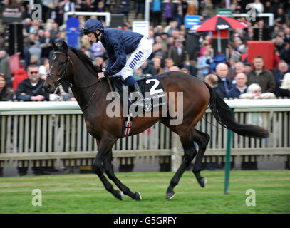 Cristoforo Colombo ridden by jockey Ryan Moore goes to post before the Vision.ae Middle Park Stakes Stock Photo