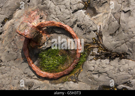 UK, England Northumberland, Holy Island, Lindisfarne rusting iron ring from old jetty near castle Stock Photo