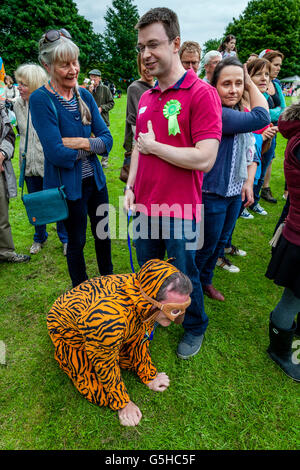 A Man Dressed In A Tiger Costume Takes Part In a Dog Show, Kingston Village Fete, Lewes, Sussex, UK Stock Photo