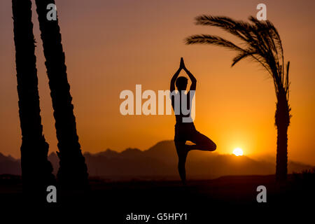 Silhouette of young woman doing fitness, yoga or pilates training, standing in asana Vrikshasana (Tree Pose) at sunset Stock Photo