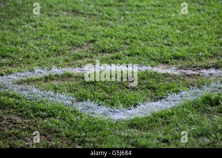 A general view of the condition of the pitch at the Stade Pierre-Mauroy, Lille. Stock Photo