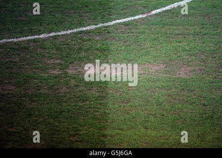 A general view of the condition of the pitch at the Stade Pierre-Mauroy, Lille. Stock Photo