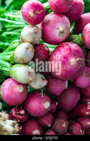Red natural european radishes on the market Stock Photo