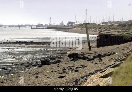 Dibden Bay on Southampton Water, near the New Forest. A public inquiry opened at Hythe, near Southampton today into the construction of a port at Dibden Bay, which nature campaigners say, could cause the loss of precious wildlife habitats. The inquiry is expected to last a year. *16/04/02: Dibden Bay on Southampton Water, near the New Forest, the site of a proposed plan to build a major port on the south coast, which Green lobby groups say will harm internationally important wildlife sites. Directors of Associated British Ports (ABP) will face tough questions from their shareholders - Stock Photo