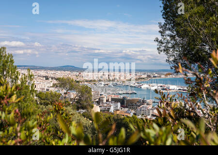Horizontal aerial cityscape of Palma, Majorca.