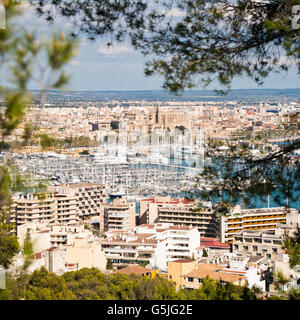 Square aerial cityscape of Palma, Majorca.