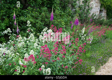 Vegetable garden flower border at Rousham House Gardens. Oxfordshire, England Stock Photo