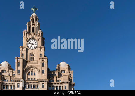 Liverpool Merseyside North West England. The Royal LIver building against a blue sky. Pierhead Stock Photo