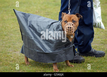 binbag jacket
