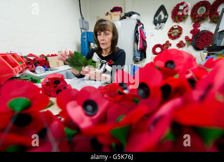 Iris Kellett assembles 'A spray' versions of the iconic red emblem of the British Legion's annual poppy appeal at the company headquarters in Richmond, London. Stock Photo