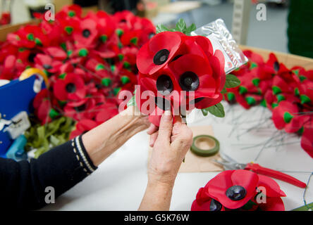 Iris Kellett assembles 'A spray' versions of the iconic red emblem of the British Legion's annual poppy appeal at the company headquarters in Richmond, London. Stock Photo