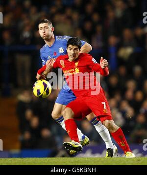 Chelsea's Gary Cahill (left) and Liverpool's Ryan Babel (right) battle
