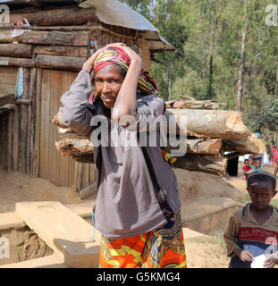 Refugee woman from Congo carrying firewood on his head. Refugee Camp ...