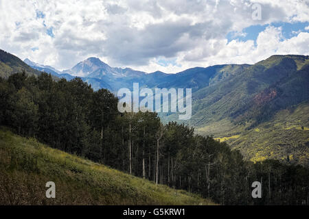 Aspen trees and mountains in summertime near Aspen, Colorado. USA. Stock Photo