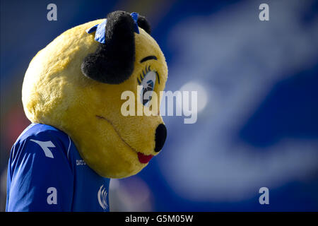 Soccer - npower Football League Championship - Birmingham City v Huddersfield Town - St Andrews. Birmingham City mascot Belle Brummie Stock Photo