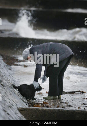 A small dog being rescued after becoming stuck near a sea wall during high winds in Helensburgh, Scotland, as the UK is braced for another day of deluges and flooding as heavy rain sweeps across the country. Stock Photo