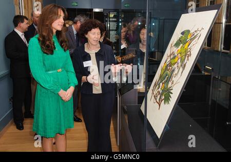 The Duchess of Cambridge views a plate from Audubon's Birds of America alongside Special Collections Manager Judith Magee (right) during a visit to officially open the new Treasures Gallery at the Natural History Museum, in central London. Stock Photo