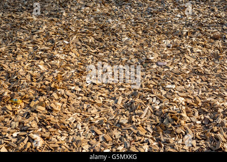 Closeup of wood chip path covering Stock Photo