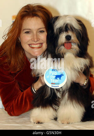 FRISKIES PUP OF THE YEAR Stock Photo