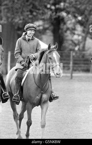 Princess Anne, who expects a baby in November, exercises her horse Flame Gun at Badminton, where her husband Mark Phillips is competing in the three-day horse trials. Stock Photo