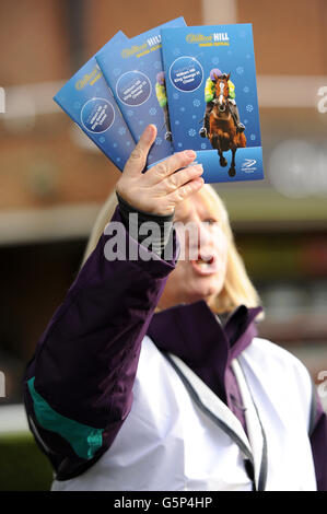 Horse Racing - William Hill Winter Festival - Day One - Kempton Park Racecourse Stock Photo