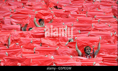 St. Denis, France. 22nd June, 2016. Supporters of Austria cheer before the Group F preliminary round soccer match of the UEFA EURO 2016 between Iceland and Austria at the Stade de France in St. Denis, France, 22 June 2016. Photo: Peter Kneffel/dpa/Alamy Live News Stock Photo