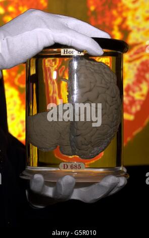 Head On exhinition Stock Photo