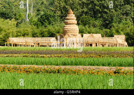 Green Terraced Rice plant in Jim Thompson Farm, Nakornratchasrima, Thailand Stock Photo