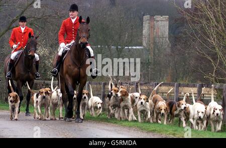 Robert McCarthy (R) Huntsman for the Essex and Suffolk Hunt leads the hounds on the hunt in Bildeston Nr Hadleigh, Suffolk, on the day MPs vote whether to ban hunting with hounds in England and Wales. Stock Photo