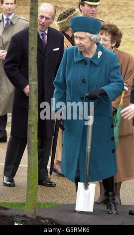 Britain's Queen Elizabeth II plants a sweet chestnut tree on behalf of The Prince of Wales Royal Parks Tree Appeal, in Rotten Row, Hyde Park. The planting inaugurates the Golden Jubilee Avenue in the central London park. *... and also marks the restoration of Hyde Park's historic Route of Kings. The Prince of Wales's Royal Parks Tree Appeal and the Royal Parks Agency are restoring the route's original design as a shady avenue of 76 sweet chestnut trees in the heart of London. Stock Photo