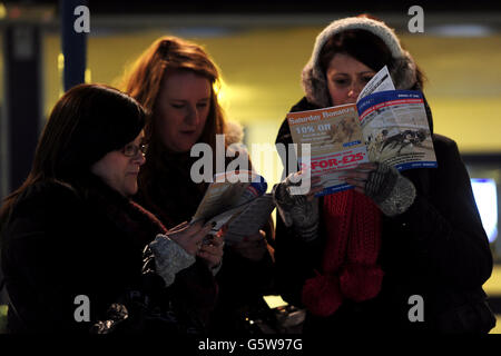Greyhounds - Brighton & Hove Greyhound Stadium. Racegoers read the racing program in the stands Stock Photo