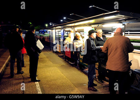 Greyhounds - Brighton & Hove Greyhound Stadium Stock Photo