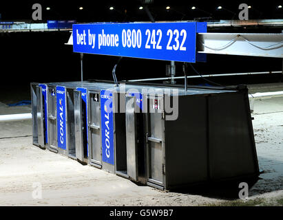 Greyhounds - Brighton & Hove Greyhound Stadium Stock Photo