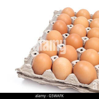 eggs pack panel ingredient prepare for food in restaurant isolated on white background Stock Photo