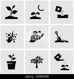 Vector black growing icon set Stock Vector Image & Art - Alamy