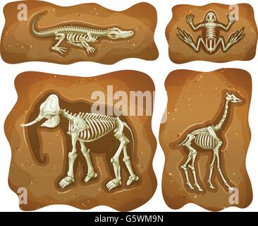 Four different fossils underground illustration Stock Vector