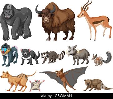 Different kind of wild animals on white illustration Stock Vector