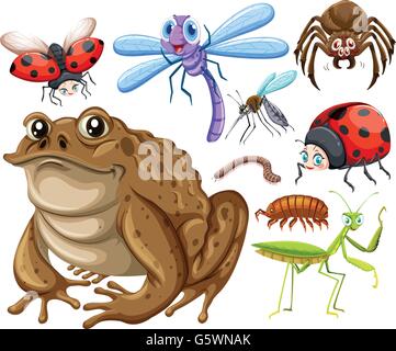 Isolated picture of different insects illustration Stock Vector Image ...