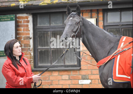 Horse Racing - Paul Nicholls Stable Visit - Manor Farm Stables Stock Photo