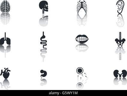 Simple Set of Organs Related Vector Icons Stock Vector